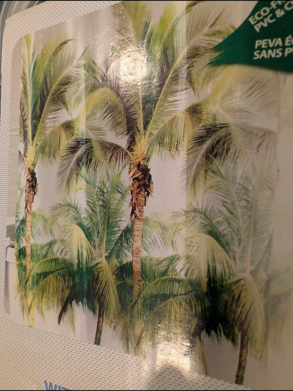 Splash tropical palm